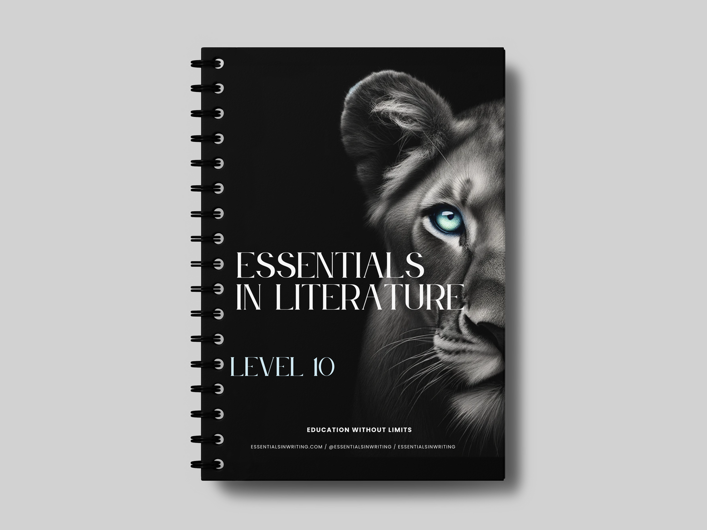 Additional Textbook- Literature (Digital)