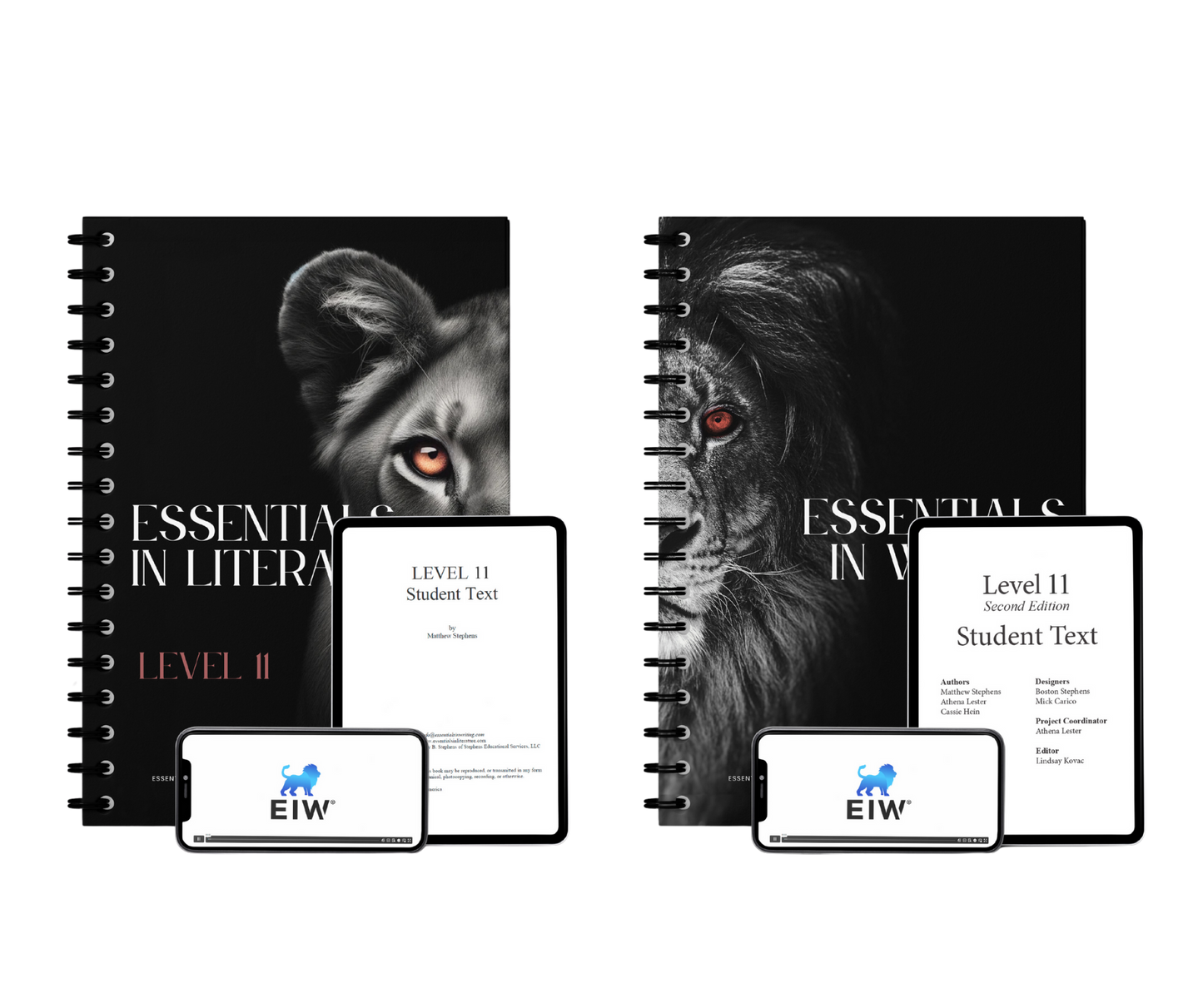 Essentials in Literature Level 12
