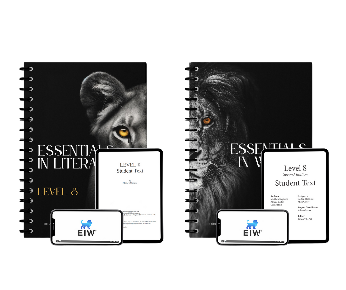 Essentials in Literature Level 8