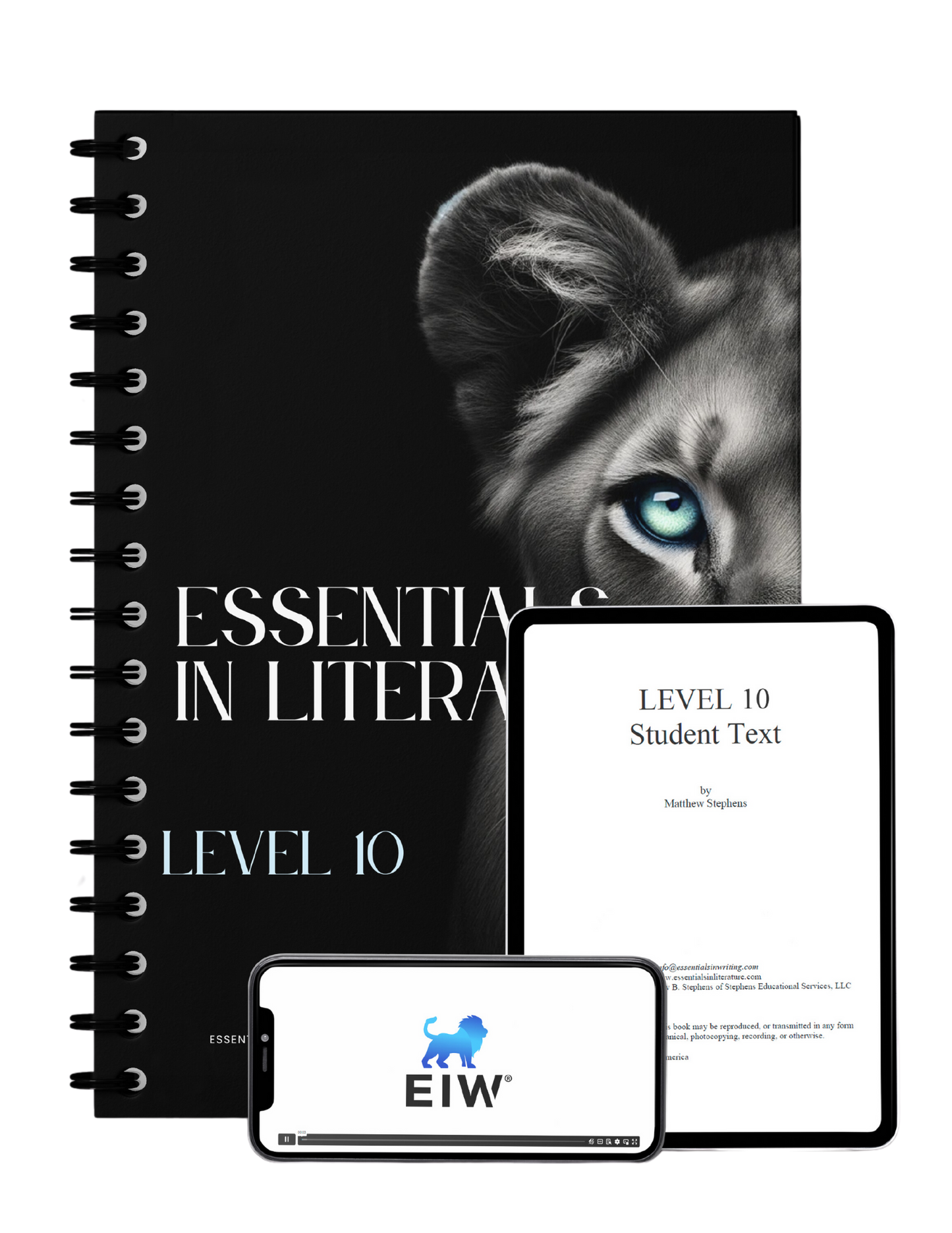 Essentials in Literature Level 10