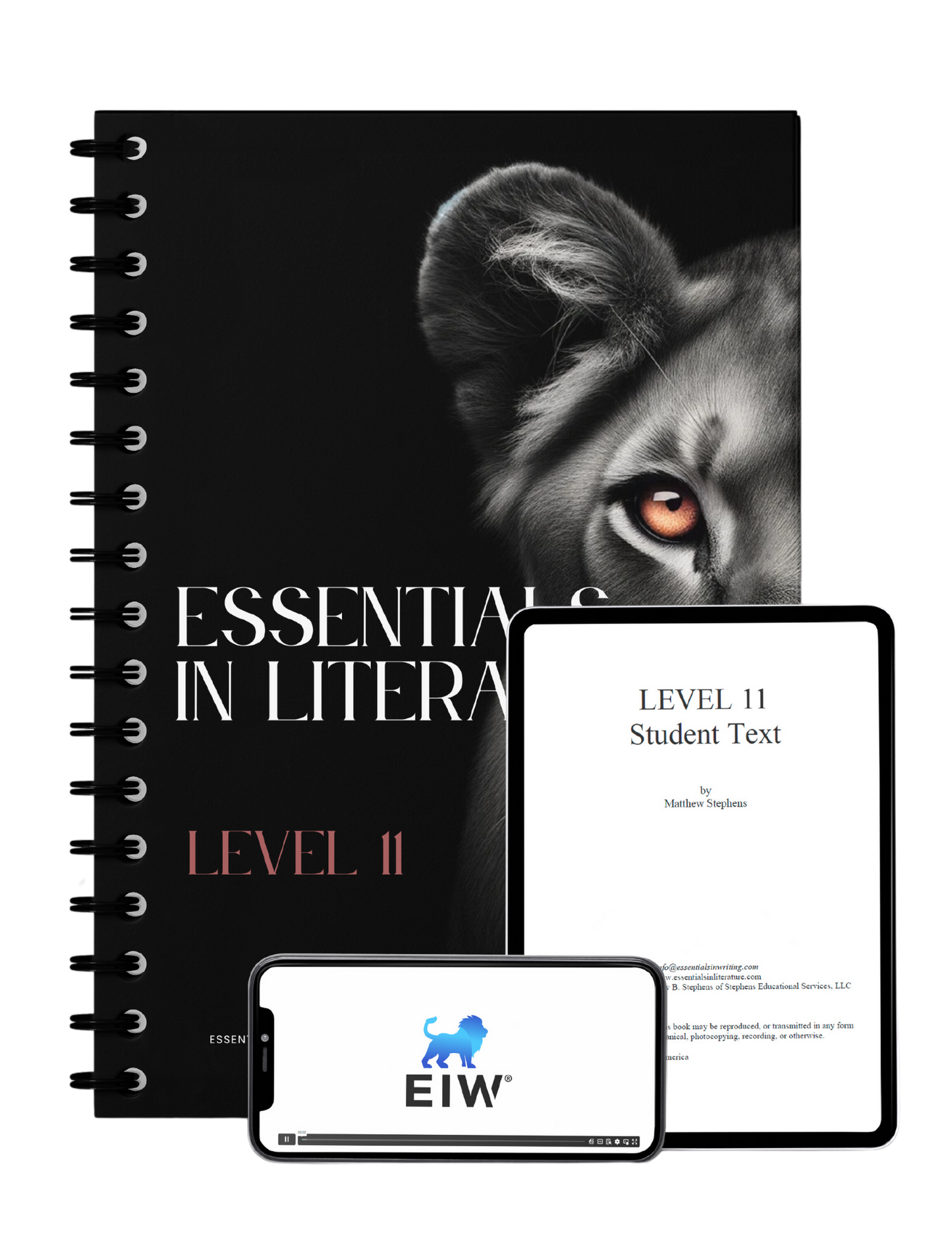 Essentials in Literature Level 12