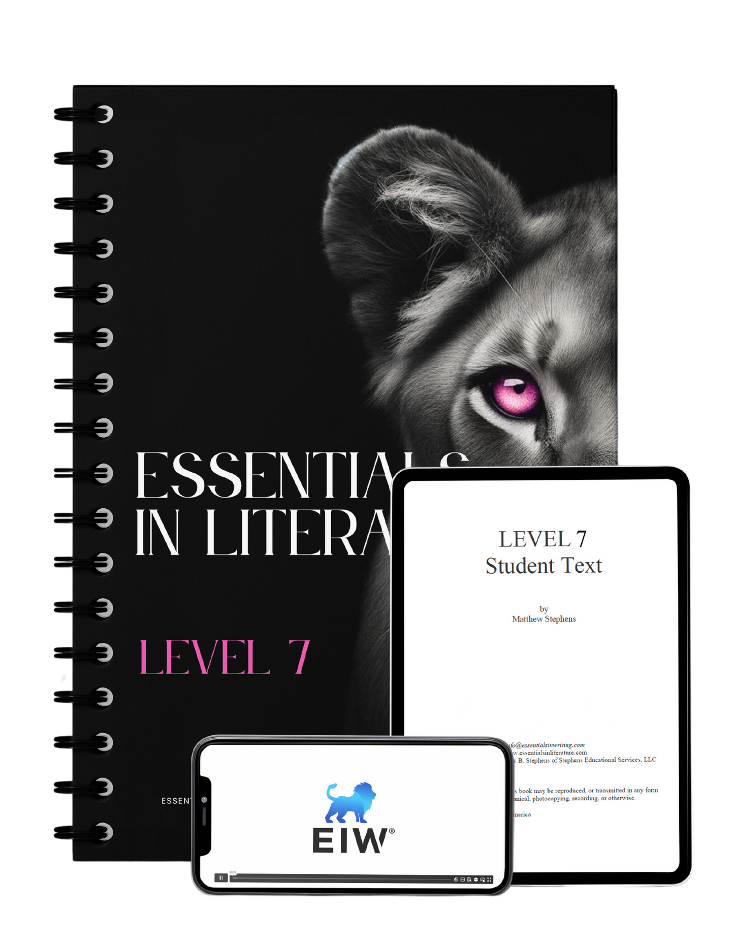 Essentials in Literature Level 7