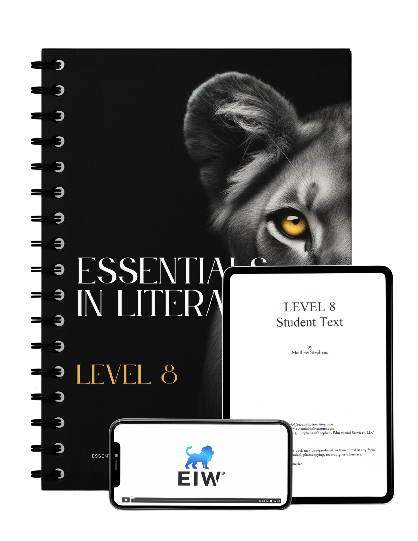 Essentials in Literature Level 8