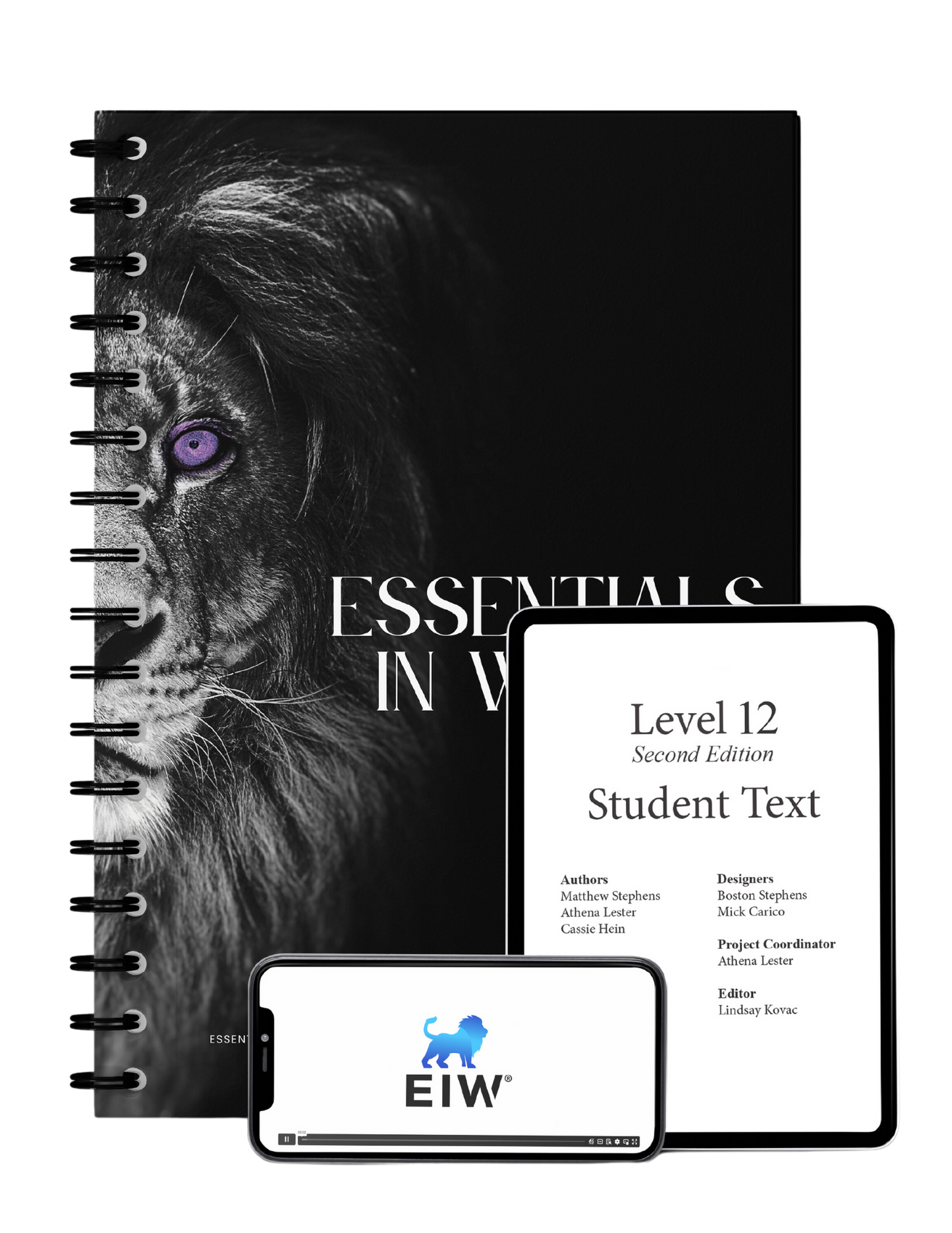 Essentials in Writing Level 12