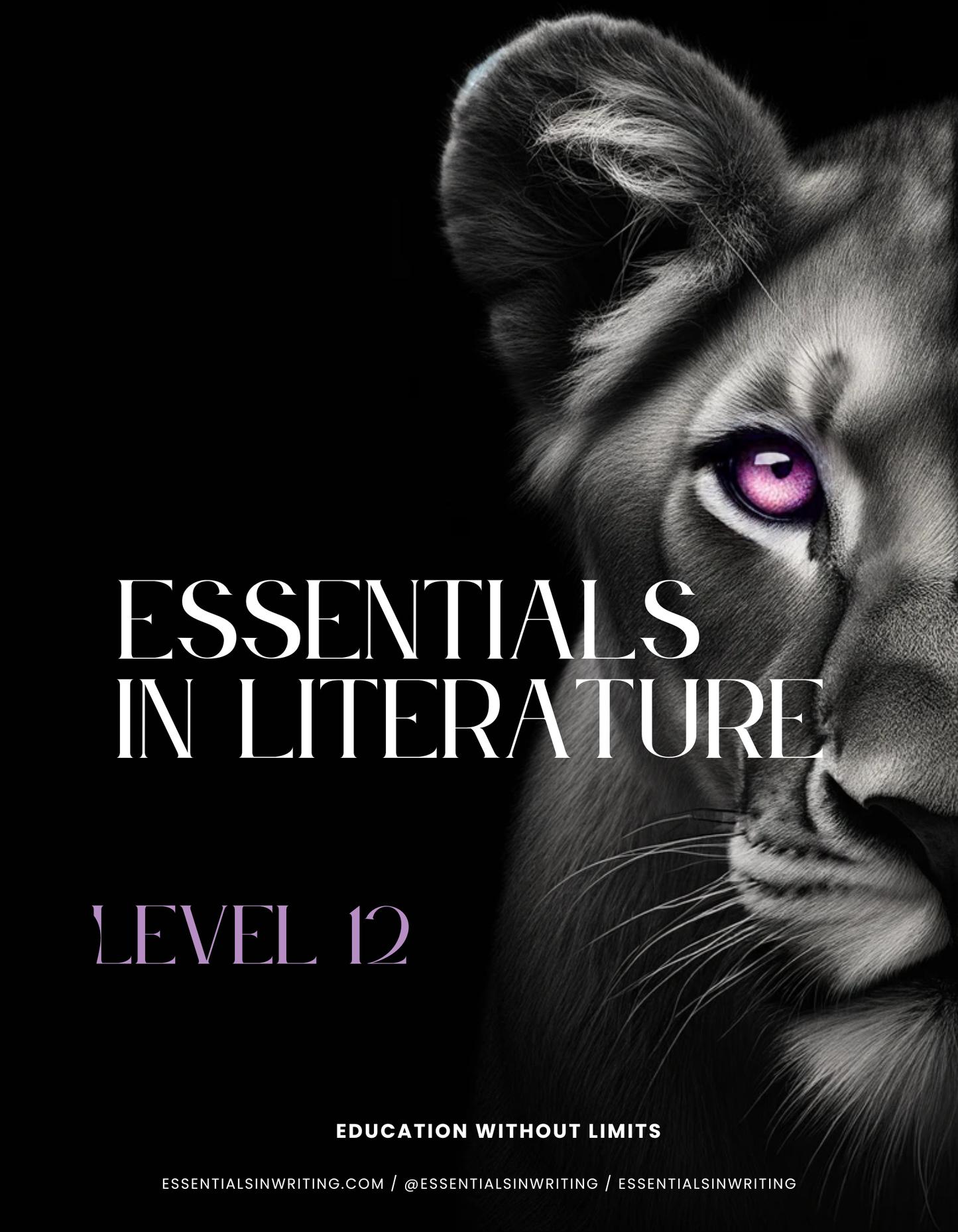 Additional Textbook- Literature