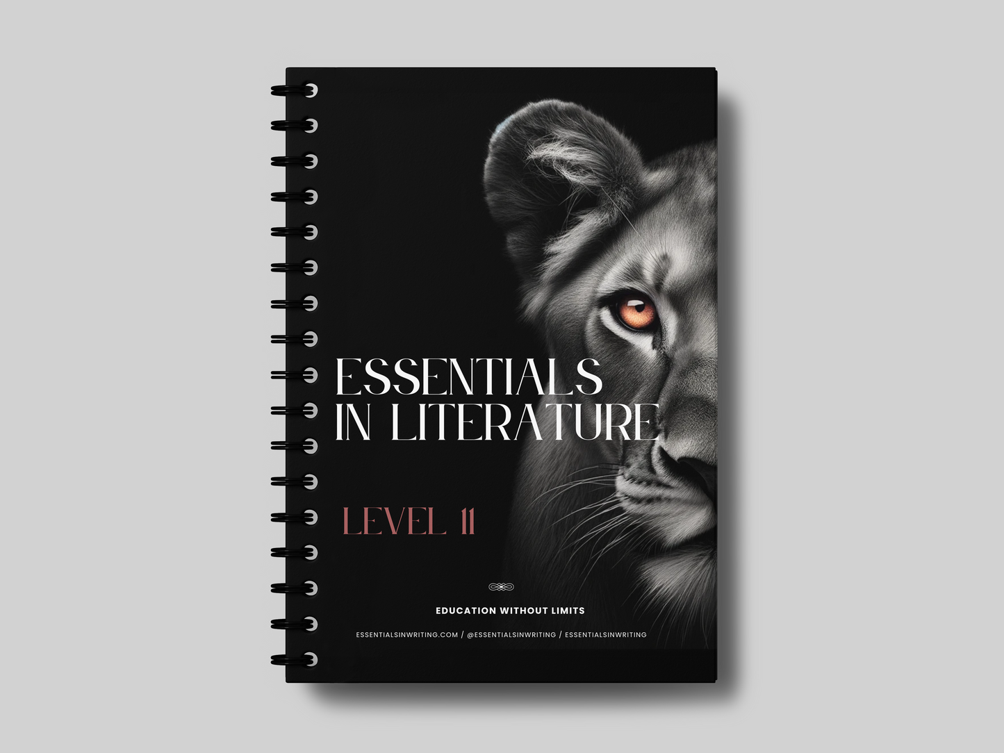 Additional Textbook- Literature (Digital)