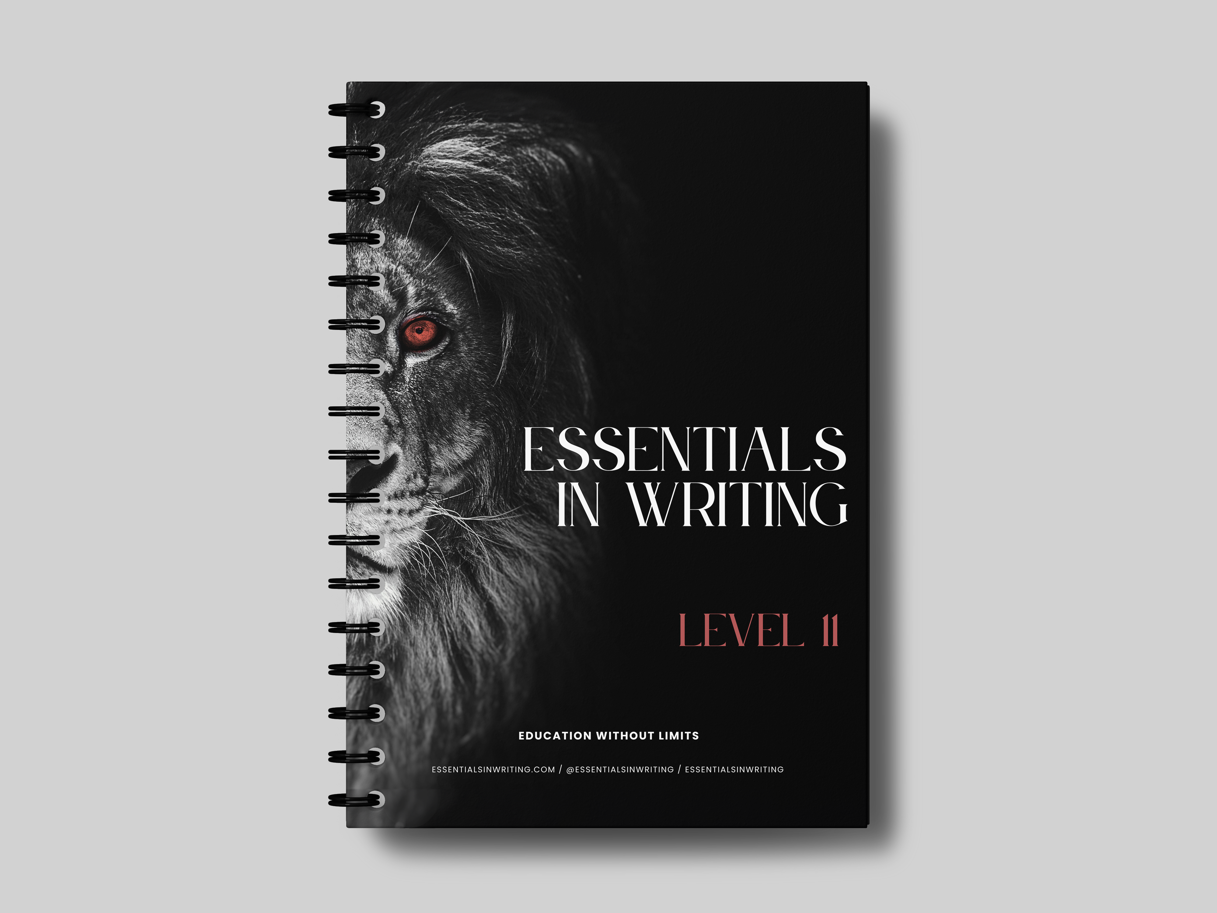 Additional Textbook- Writing – EIW