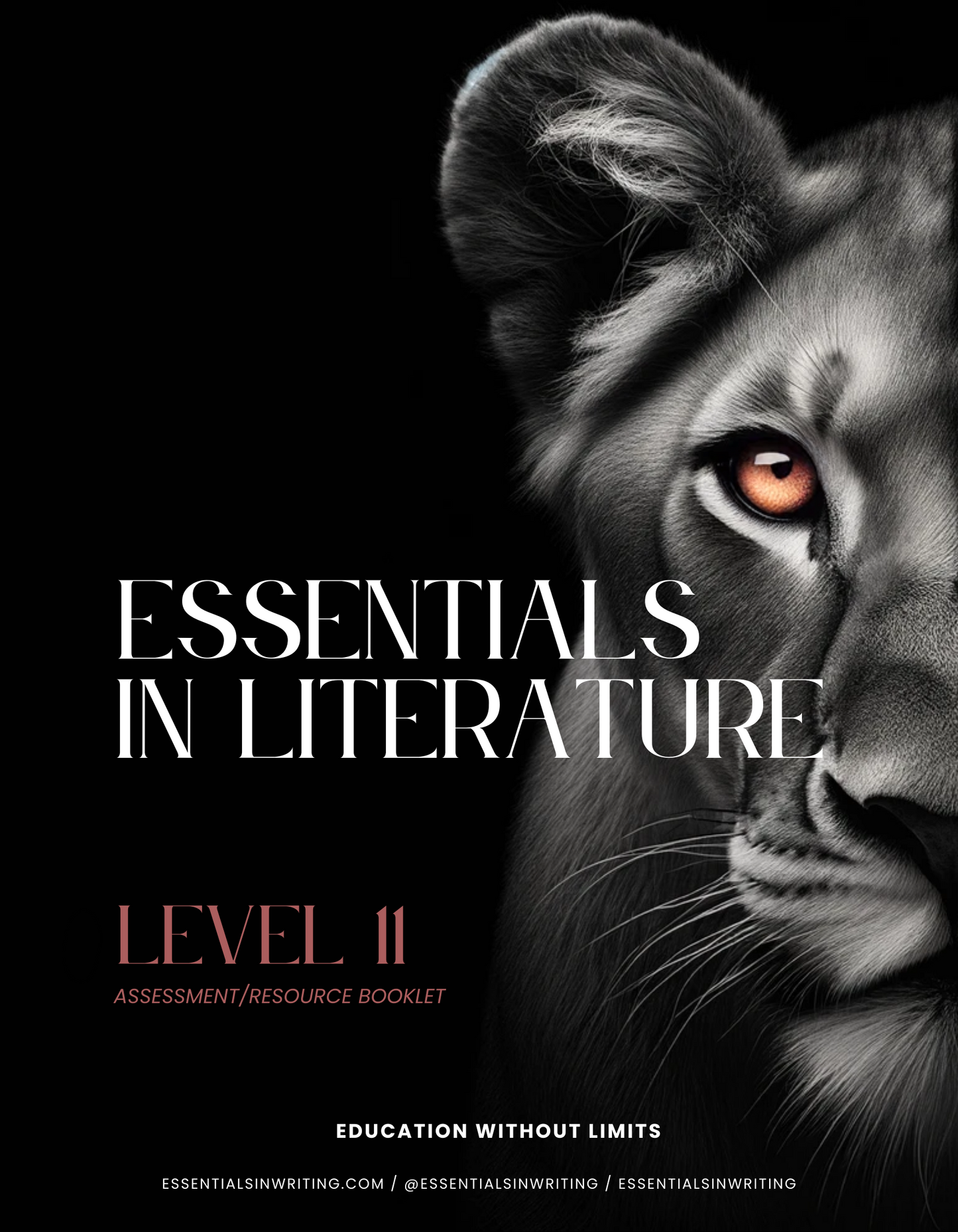 Additional Resource Booklet- Literature