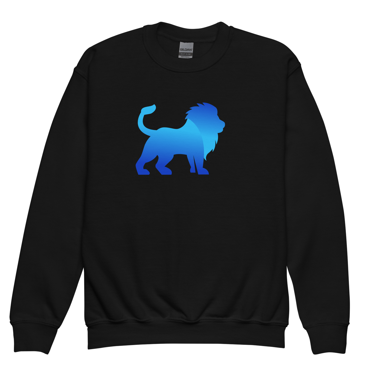 EIW Sweatshirt (Youth)